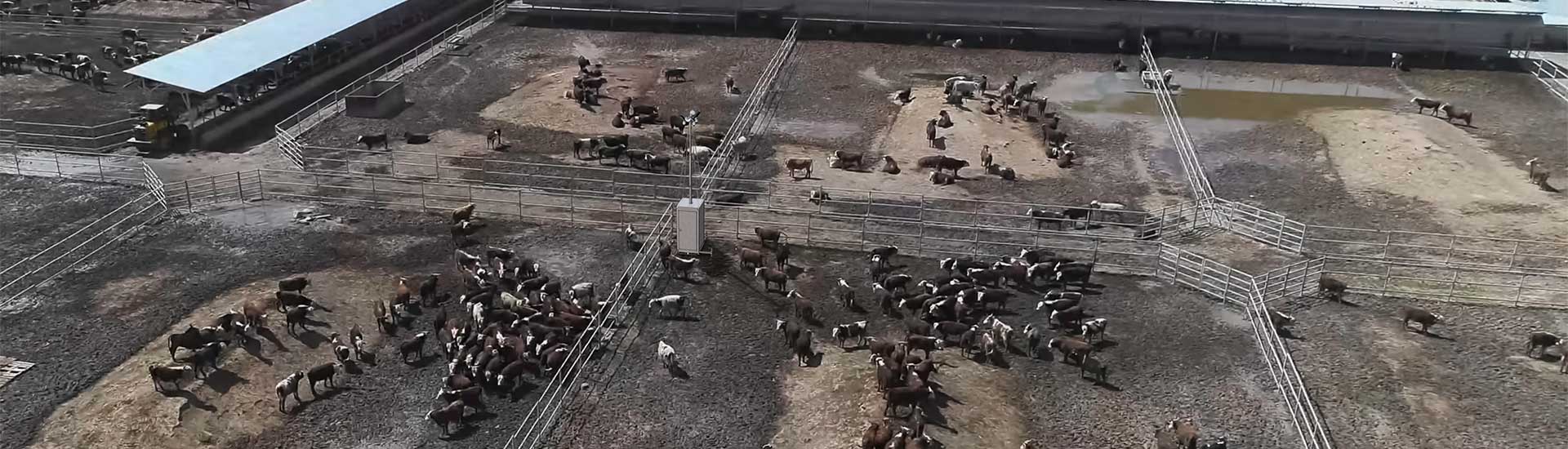 Improving farm security with mobile security towers in modern agriculture