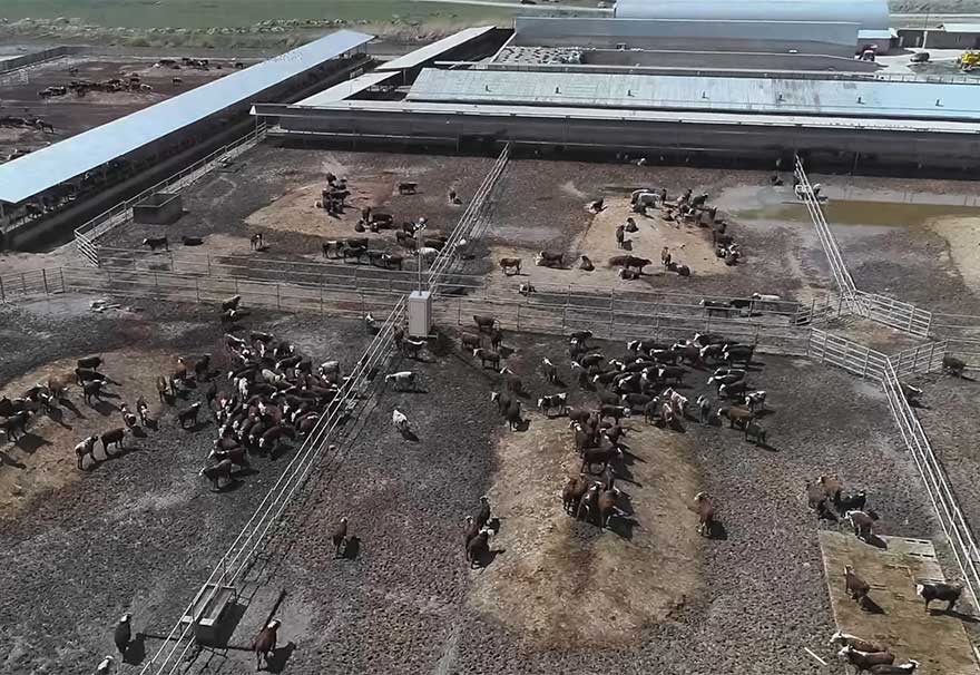 Security for agriculture and farming