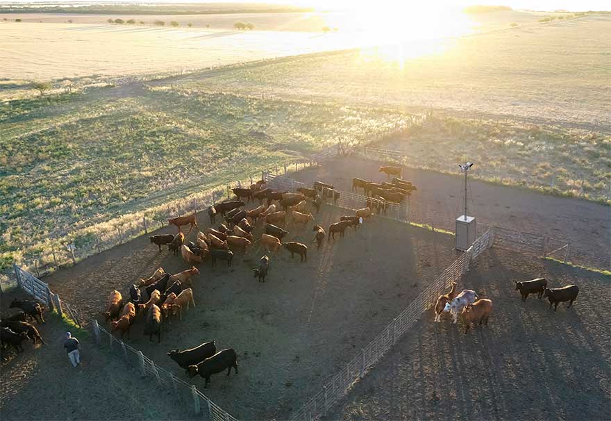 Security in agriculture